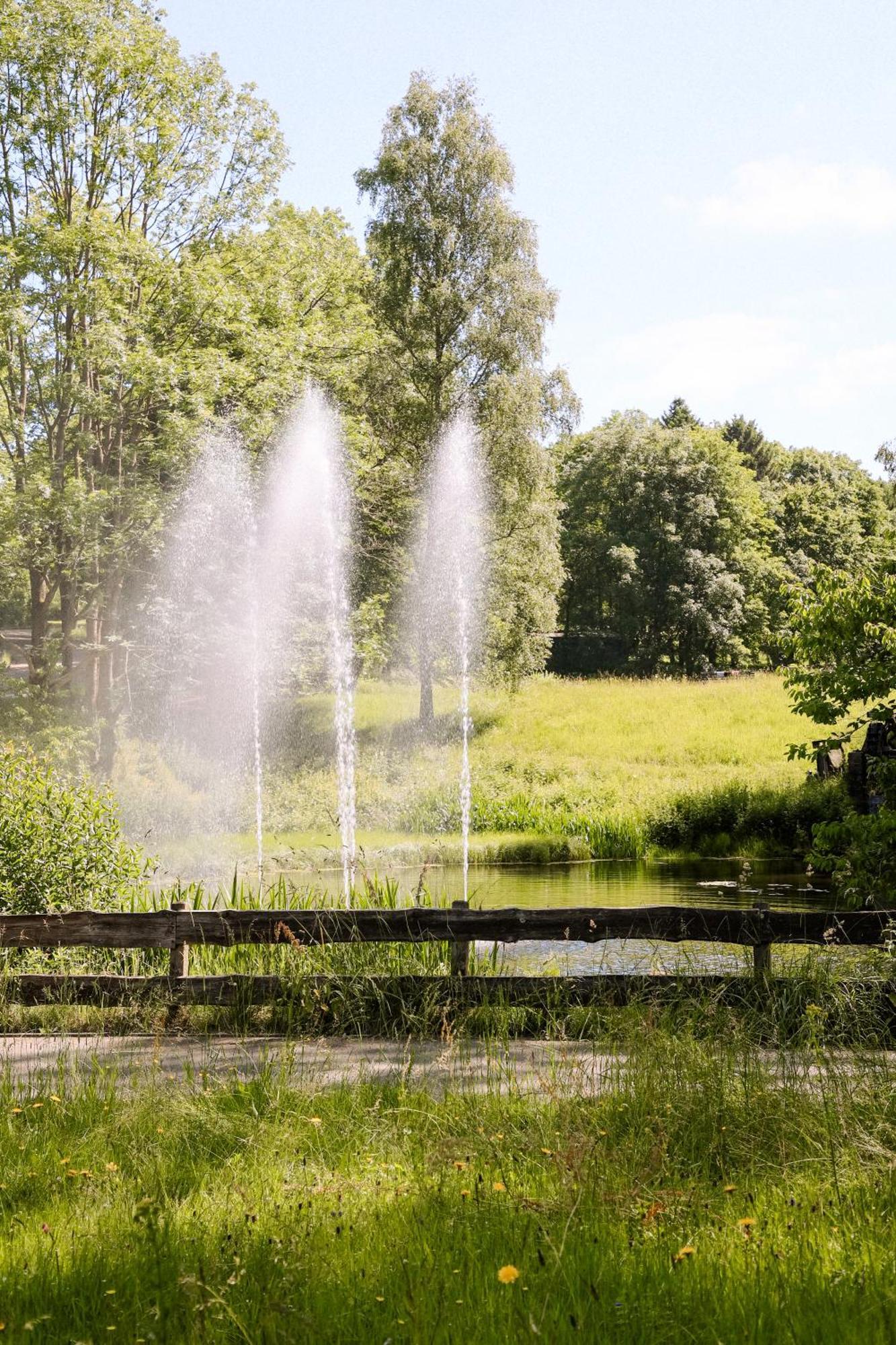 בראונלאגה Apartment 540, Oberharz, Mit Schwimmbad Und Sauna מראה חיצוני תמונה